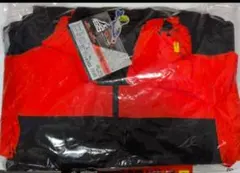 Item thumbnail for item 409c28d4-b980-48f7-b12e-569f80927247