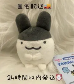 新品　たまごっち　みみっち　ぷりぬい　ぷち　マスコット　ぬいぐるみ