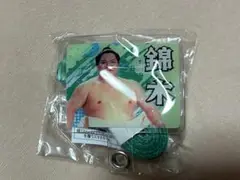 錦木関フォンタブストラップ