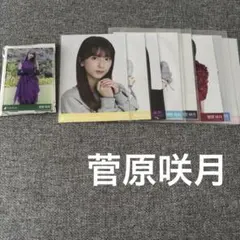 乃木坂46 生写真　ランダムアクリルスタンド　菅原咲月　まとめ売り