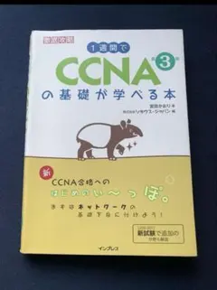 Item thumbnail for item 770a08b5-f988-4cf5-be3f-2adadf6b4121