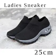 Item thumbnail for item ce17a10d-5260-4050-9c03-cf5654a3803e