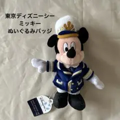 激レア　ディズニーシー1周年記念ミッキーマウスチャーム 激レア‼︎ 東京ディズニーシー 1周年記念 ミニー ぬいぐるみ