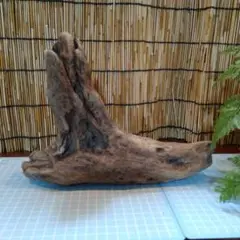流木 工作素材