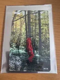 Item thumbnail for item 1d54e85c-361a-4526-b246-7de4e590a4df