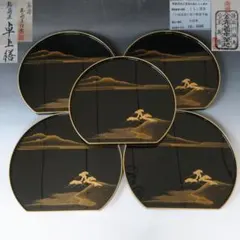 木製　竹　 拭漆 梅形銘々皿 五客 共箱付き 竹 梅形銘々皿 拭漆 五客 共箱付き - メルカリ