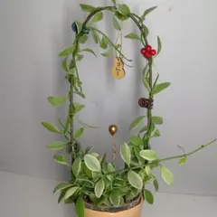 たぬくん様 リクエスト 2点 まとめ商品