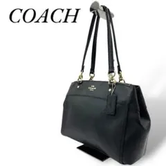 COACH コーチ 2WAY ハンドバッグ ミニ ブルック キャリーオール