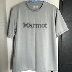 Marmot グレー Tシャツ Mサイズ　デサントのサムネイル