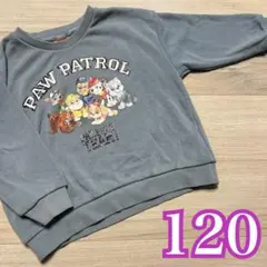 大人気❤️パウパトロール 裏起毛 トレーナー 120
