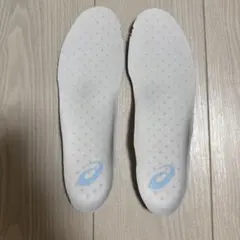 Item thumbnail for item 31ae552f-0d46-4637-b925-461b929d041e