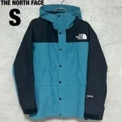 【極美品】希少色 ノースフェイス マウンテン ライト ジャケット ストームブルー