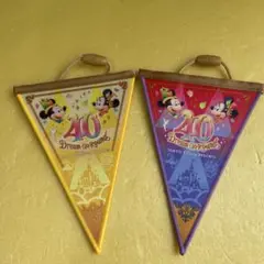 ディズニーランド 40周年 ガーランド
