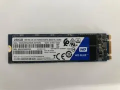 WD Blue M.2 SSD 250G
