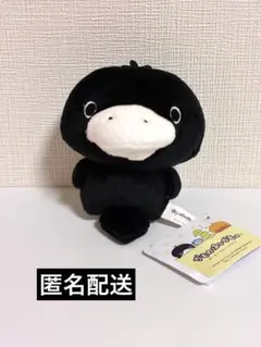 サンエックス　かものはしかも。かものはしダス　マスコット