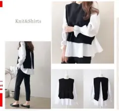 レイヤードデザイン ブラウス　ベスト