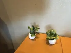 bodo hennig ボードヘニッヒ　ドールハウス　ドイツ　観葉植物