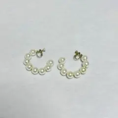 イヤリング　マジェスティックレゴンのサムネイル