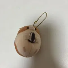 ハムスター マグネット　マスコット キーホルダー