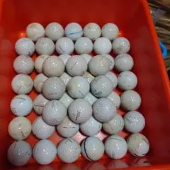 ロスト覚悟ラウンドにTitleist PRO V1ロストボール200球★送料込み