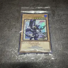 WCS2026　遊戯王　ブラックマジシャン 浮世絵