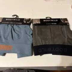 BODYWILD ボクサー 2枚セット LL 吸汗速乾（A55）