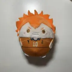 【ハイキュー】ふわコロりん5 日向翔陽