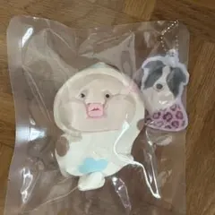 dong dong こびと図鑑 모모지 모모지리 스퀴즈 동동