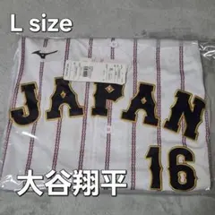 Item thumbnail for item 1fed6252-b486-4be3-aad8-b61f02cd82b5