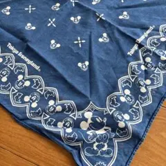 Item thumbnail for item 8c1c2bad-6b48-443d-801d-caf9f6e2d972