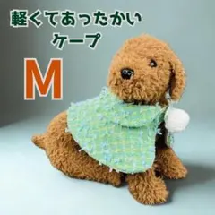 Item thumbnail for item e29773e4-1e5c-49fd-bd97-8e5570dc5db4