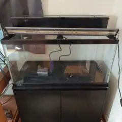 GEX ガラス水槽 LEDライト 上部フィルターセット