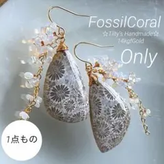 A】珊瑚の化石 フォッシルコーラルのペアシェイプ ピアス - メルカリ