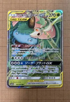 フシギバナ＆ツタージャGX RR SM11a リミックスバウト 001