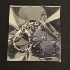 ライドウ　アクキー　ゴウト1