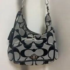 COACH Signature Shoulder Bag Y2K
