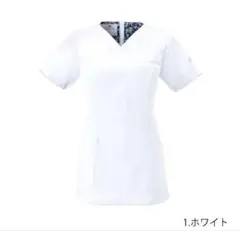 Item thumbnail for item 5734b4de-ebda-4682-b424-5698630ae7a7