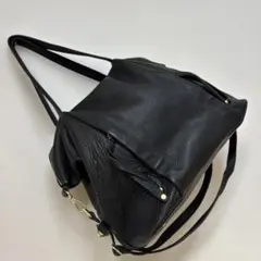 ear PAPILLONNER ブラックレザー ハンドバッグ　2way