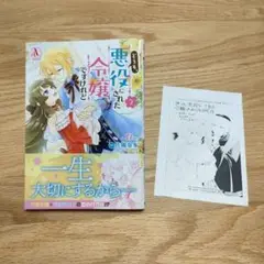 どうも、悪役にされた令嬢ですけれど