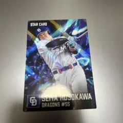 カルビー2026年プロ野球チップス第2弾 細川成也 STAR CARD
