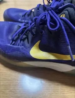 Nike LBJ シューズ 紫/黒/金 - メルカリ