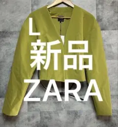 Item thumbnail for item da17a539-8e88-4e93-badf-92d28543f722