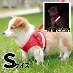 【S】レッド　赤　ハーネス　リード　犬用　猫用　散歩　ペット　脱げない　軽い