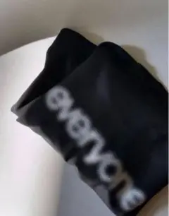 everyone 前橋 限定 ぼかし ロゴ ロンT long tee