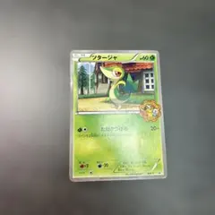 BW-P ツタージャ_ポケモンスマイルスクール PROMO 第5世代（BW）2…