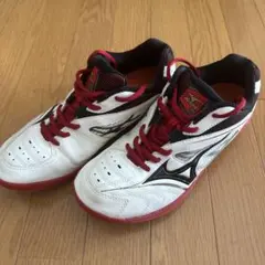 Item thumbnail for item df125bd3-9c66-497b-8f23-60cd395ba9a5