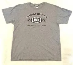 【 50周年記念 一点限り 】夏服 Tシャツ グレー XL