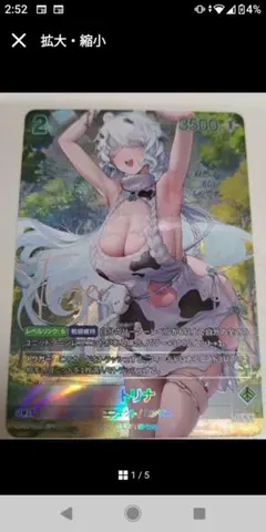 ニベルアリーナ 龍の伴侶 シェナ SPL 箔押しサイン入り - メルカリ