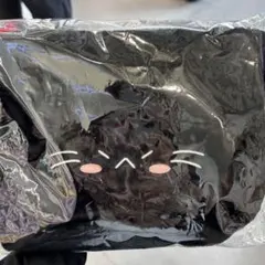 BABYMONSTER 韓国限定 アサ ソウルコン キャラクター クロス バッグ BABYMONSTER CHOOM ワルツ ソウルコン クロス バッグ