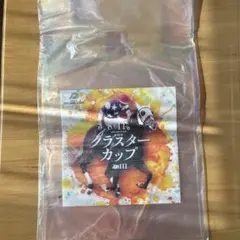 岩手競馬 クラスターカップ オリジナルオーロラバッグ 非売品